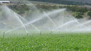 Farming in Zambia Drip Irrigation Systems Simple Direct and Costeffective [upl. by Laaspere]