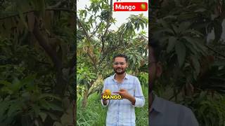 How Agriculturist define Mango 🥭😜 iari icarsrf icar icarexam mango agriculture [upl. by Margi212]