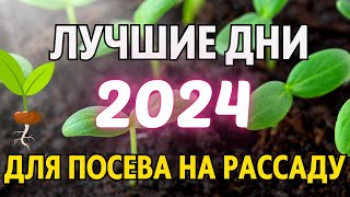 ЯНВАРЬФЕВРАЛЬ 2024 Когда сеять на рассаду 2024 Лунный посевной календарь на январьфевраль 2024 [upl. by Zippel656]