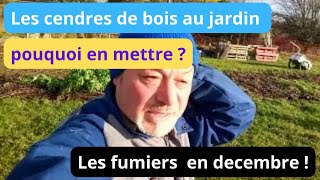 Pourquoi mettre des cendres de bois au jardin  les fumiers on en parle [upl. by Christy]