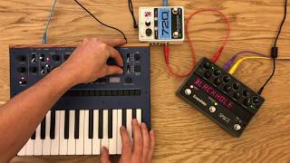 Korg Monologue Layering w Electro Harmonix 720  Eventide Space [upl. by Norrahs364]