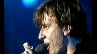 Triffids  19870703  Roskilde Festival DK  Kellys Blues [upl. by Neiman958]