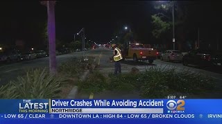 Driver Avoiding Car Knocks Down Trees In Reseda [upl. by Addie]