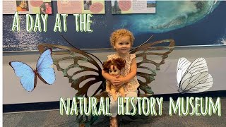 Adventurous day at the natural history museum with Winnie and her baby doll [upl. by Zinnes729]