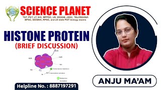 Histone Protein Brief Discussion Explain by Anju Mam of Science Planet [upl. by Annaej]