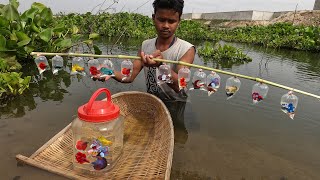 Today top amazing hunting betta Caught all lovely and beautiful fighting betta fish [upl. by Oal245]