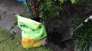 The councils garden waste collection service [upl. by Donetta]