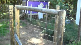 DIY DOG KENNEL [upl. by Cirde]