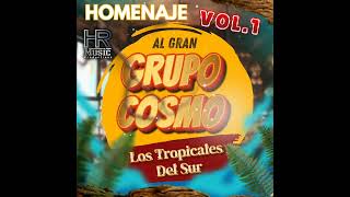 Mix Grupo Cosmo  Los Tropicales del sur [upl. by Rivalee762]