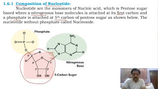 Chapter 1   Biological Molecules  Part 20  Nucleic acids  Sindh Text Board [upl. by Anoo53]