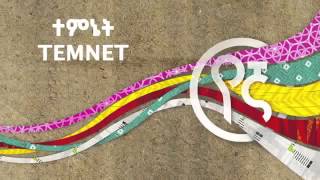 Best New Ethiopian music 2014 Yegna Temnet [upl. by Vish224]