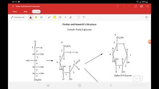 Struktur Fischer dan Haworth [upl. by Nnyloj]