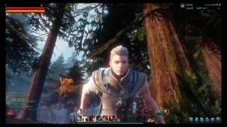 Riders of Icarus  Maxed out graphics  Closed Beta Footage [upl. by Anilecram]