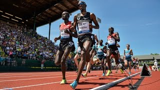 Best of 5000m  IAAF Diamond League 2014 [upl. by Quint]