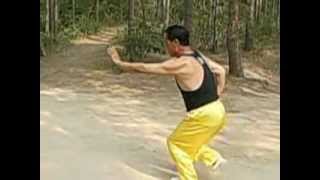 Bajiquan Jingang Bashi 八极拳金刚八式 [upl. by Trofmoc562]