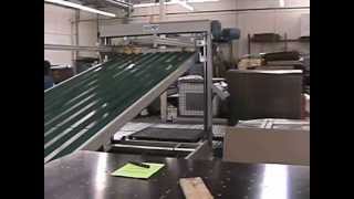 Litho Labeling machine fully automatic Stock LLM [upl. by Kauppi]