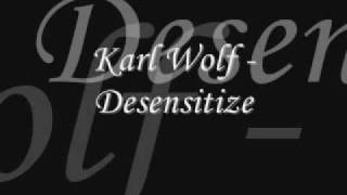 Karl Wolf  Desensitize [upl. by Llenrad]