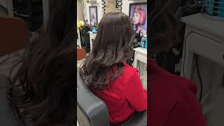 Chocolate brown haircolors transformation colors ladyhair canada vlog shorts [upl. by Althee]