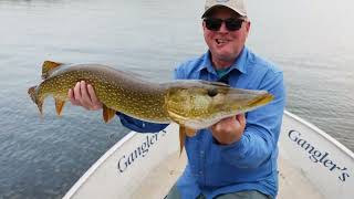 Manitoba Pike On A Fly [upl. by Socha]