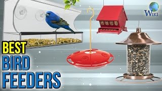 10 Best Bird Feeders 2017 [upl. by Nylyram590]