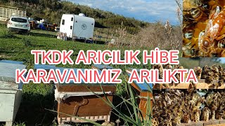 TKDK ARICILIK HİBE KARAVANIMIZ ARILIKTA [upl. by Bent]