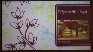 Polyneuritis Equi in Horses [upl. by Arjan]