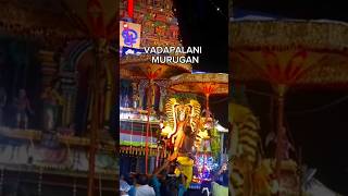 Vadapalani Murugan 🕉️🦚 🙏🏻  Vadapalani  bespecificshiva god vadapalani murugan [upl. by Reywas]