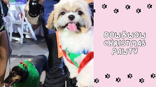 Bow amp Wow Christmas Pawty 🐾 Story Time [upl. by Eruza225]