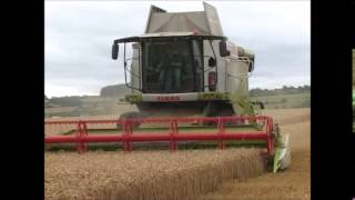 Claas Lexion 670 Montana [upl. by Thistle767]