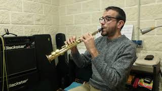 Sopranino Saxophone David Hernando Vitores [upl. by Ogg]