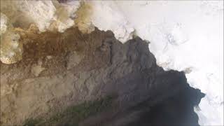 Hundreds of fruit bats in a cave  Egyptian fruit bat Rousettus aegyptiacus – Cyprus 3172024 [upl. by Idna300]