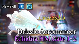 Lost Ark1660 Drizzle Aeromancer  Echidna HM Gate 12 [upl. by Nevek]