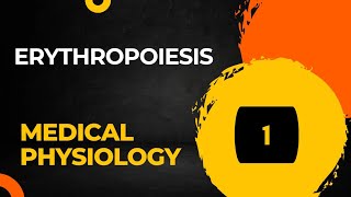 Erythropoiesis Red Blood Cell Formation Part 1  Hematology [upl. by Amalberga]