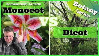 Monocots VS Dicots  6 Main Differences Between Monocots amp Dicots [upl. by Yate]