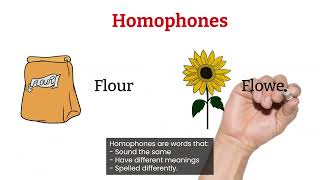 How do you identify homophones homographs and homonyms  English Grammar [upl. by Asila701]