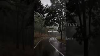 Nannu korinaa magaluu evaru Song songs viralsongs lyrics shortvideo miraclemakers viralvideo [upl. by Osmond158]