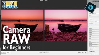 Master CAMERA RAW like a Pro in Photoshop Elements 2024 Easy BEGINNER Tutorial 📸 [upl. by Calista381]