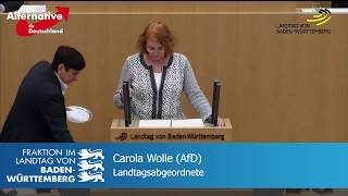 AfD Gleichstellung von Mann und Frau [upl. by Pepita166]