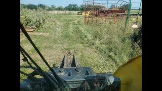 The Trees are Taking Over  Clean up on Joshs Farm [upl. by Giraldo508]