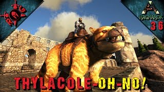 ARK THYLACOLEO TAME amp CLIFF CLIMBING  DIVING Ep 36 Vanilla w S Sons of AnARKy [upl. by Esau]