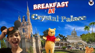 Disneys Magic Kingdom 2024  Crystal Palace Character Dining🐻 [upl. by Montanez124]