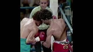 Salvador Sanchez vs Juan LaPorte  1080p 60FPS  Highights [upl. by Selrahcnhoj]