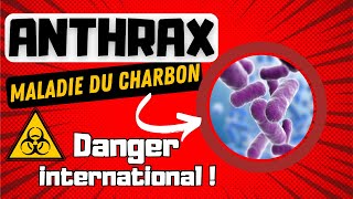 ANTHRAX  Maladie du Charbon  DANGER Bactériologique inquiétant [upl. by Ataynik318]