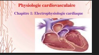 UE1 Physiologie CardioVasculaire 1 بالعربية  Electrophysiologie Cardiaque Partie 1 [upl. by Aik906]