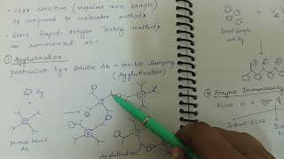 Rapid antigen testing [upl. by Blim875]