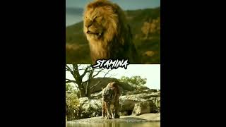 Mufasa VS Sher Khan edit🔥shorts junglebook lionking [upl. by Knoll]