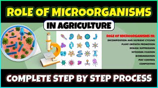 Importance of Microorganisms in Agriculture  Nitrogen Fixation Pest Control Plant Growth [upl. by Ilojne]