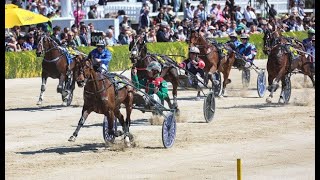 2024 Renwick Farms Dominion Trot 3200M Addington Raceway New Zealand  Just Believe 2028 [upl. by Esinned]