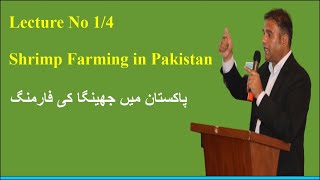 Shrimp Farming in Pakistan [upl. by Keir]