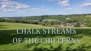 Chalk Streams of the Chilterns [upl. by Ellerud]